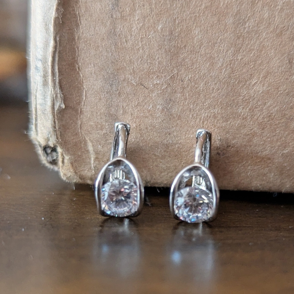 Pretty Bird Shimmering Silver Huggies